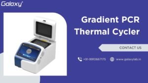 Gradient PCR Thermal Cycler